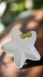 Golden Lattice Studs