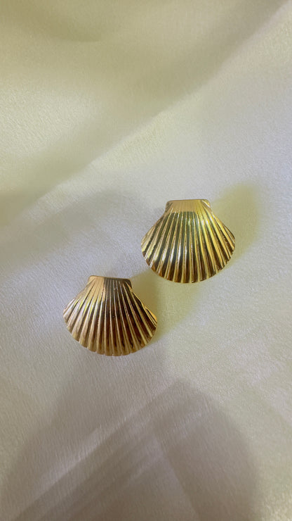Golden Shell earrings